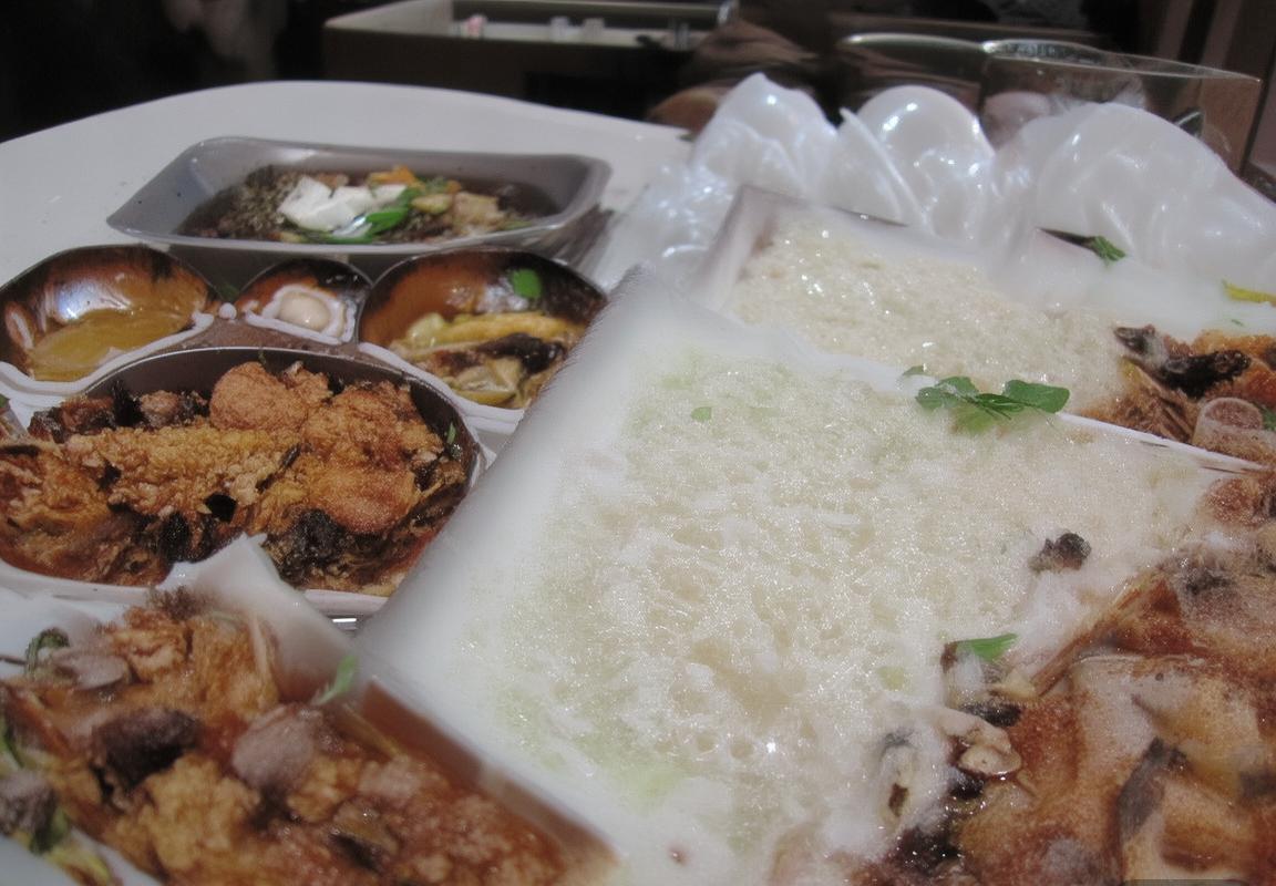 白俄vs爱尔兰：战术对决解析与未来展望(图2)